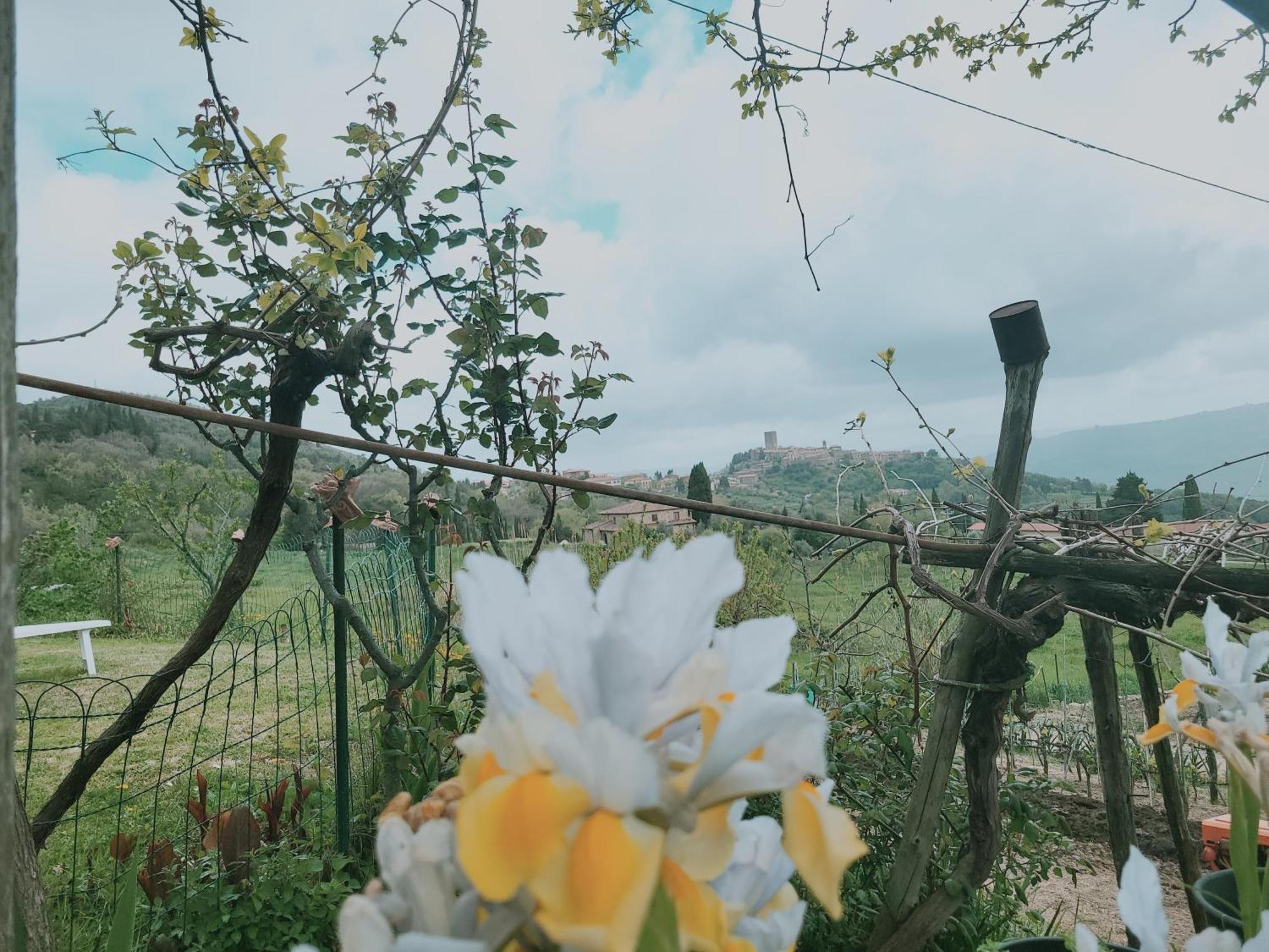 Apartmán I Castagnini Montecatini Val di Cecina Exteriér fotografie
