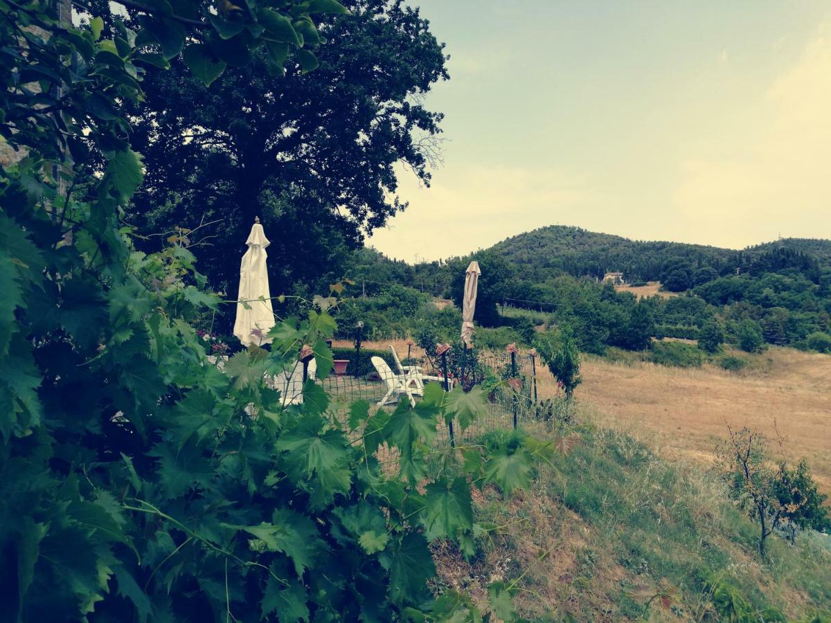 Apartmán I Castagnini Montecatini Val di Cecina Exteriér fotografie