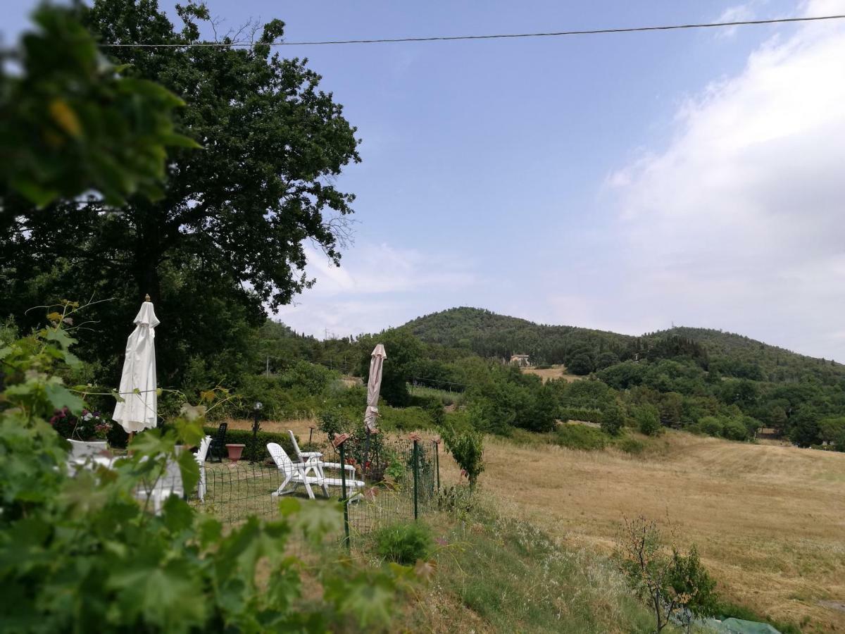 Apartmán I Castagnini Montecatini Val di Cecina Exteriér fotografie
