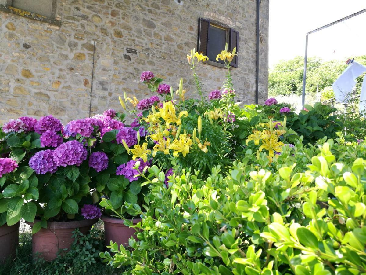 Apartmán I Castagnini Montecatini Val di Cecina Exteriér fotografie