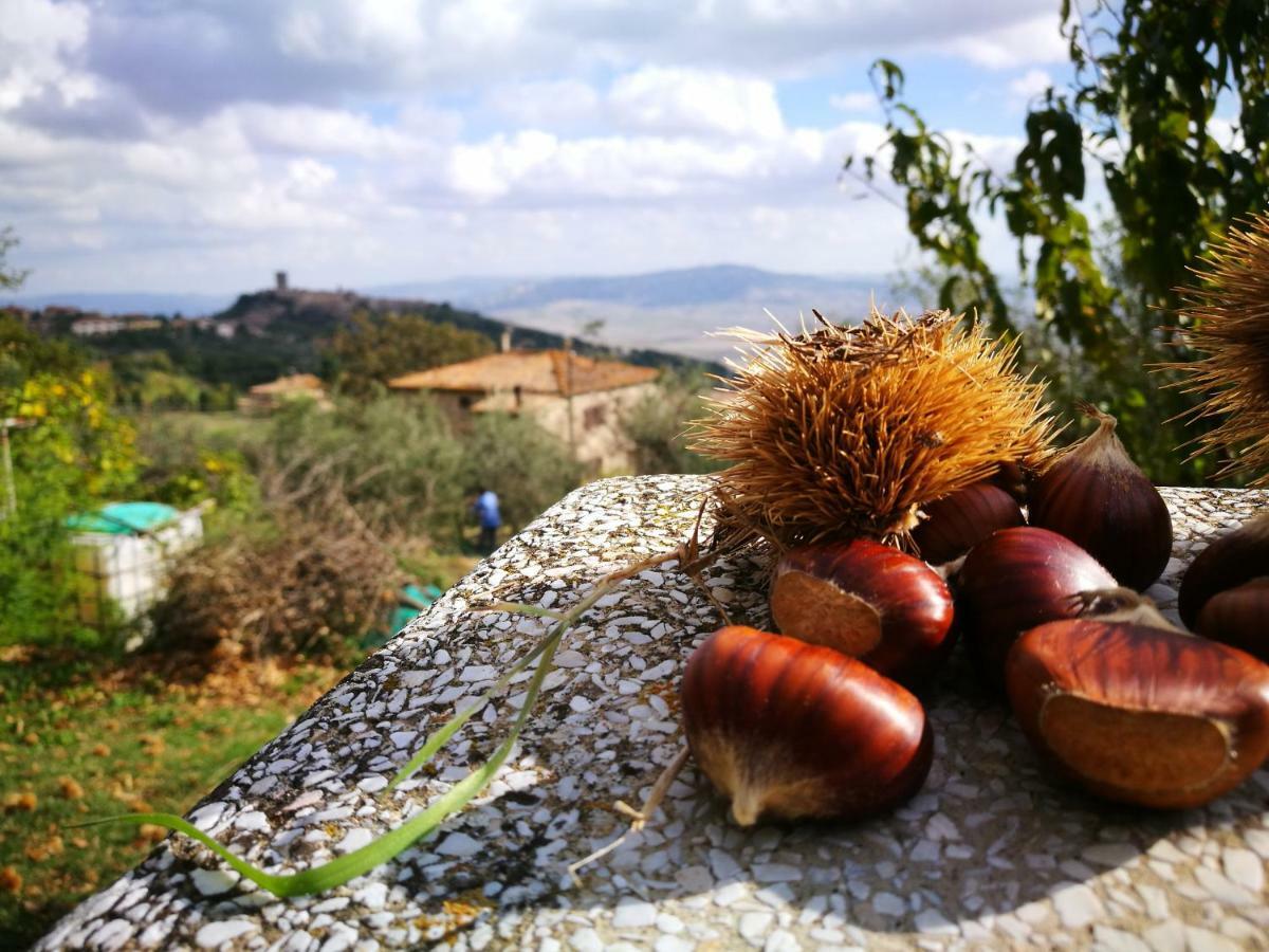 Apartmán I Castagnini Montecatini Val di Cecina Exteriér fotografie