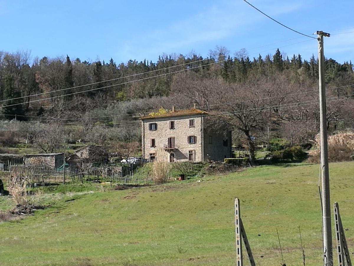 Apartmán I Castagnini Montecatini Val di Cecina Exteriér fotografie
